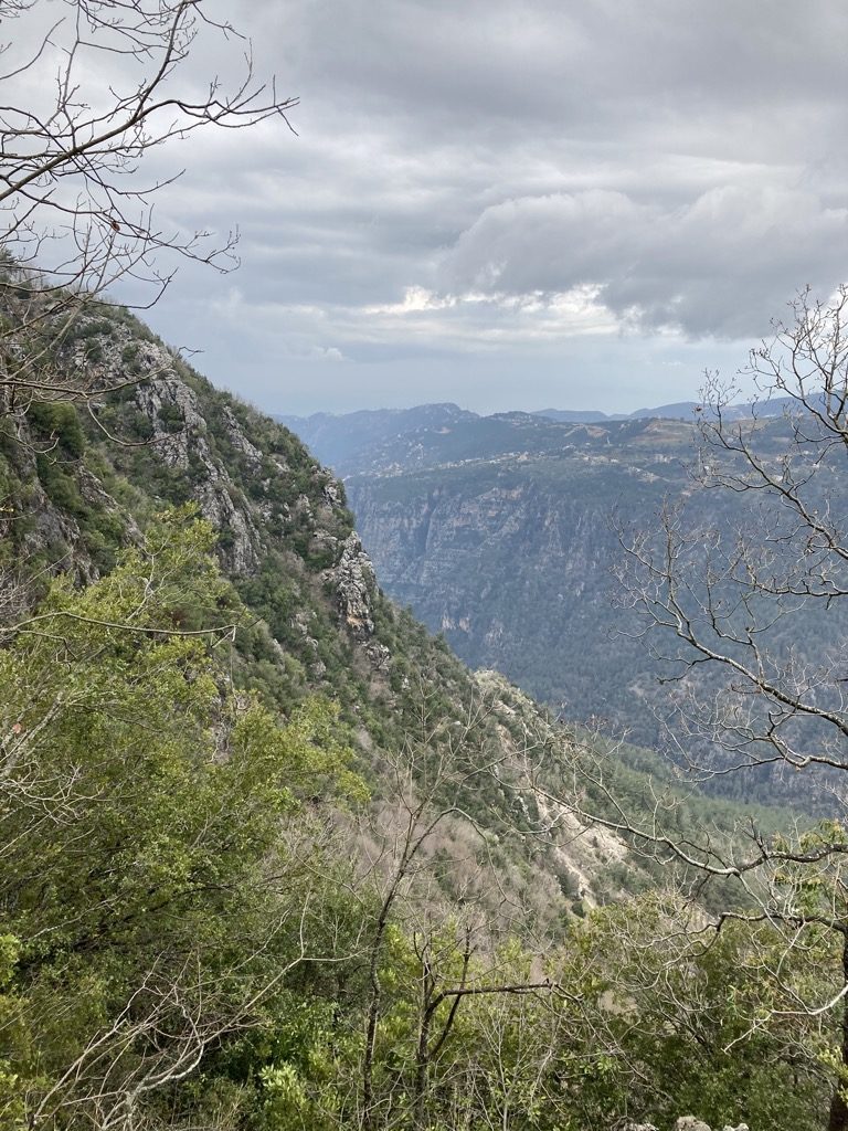 Vue de la réserve de Jabal Moussa