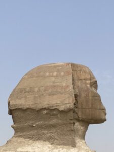 Le Sphinx de profil